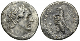 Ptolemaios II Philadelphos AR Tetradrachm, Sidon 

Ptolemaic Kings of Egypt. Ptolemaios II Philadelphos (285-246 BC). AR Tetradrachm (25-27 mm, 13.1...