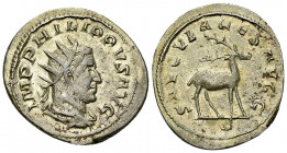 Philippus I AR Antoninianus, Stag reverse 

Philippus I Arabs (244-249 AD). Antoninianus (22-24 mm, 3.82 g), Rome, 248.
Obv. IMP PHILIPPVS AVG, Rad...