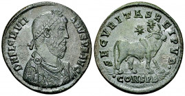 Iulianus II AE Nummus, Bull reverse 

Iulianus II Apostata (360-363). AE Nummus (28-29 mm, 7.99 g), Constantinopolis, 361-363 AD.
 Obv. D N FL CL I...