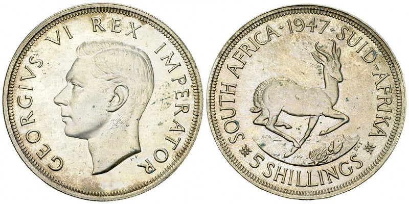 South Africa AR 5 Shillings 1947 

South Africa. George VI. AR 5 Shillings 194...