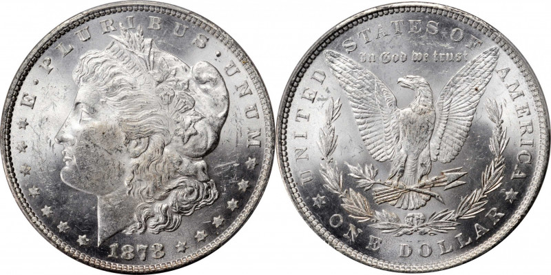 Morgan Silver Dollar

1878 Morgan Silver Dollar. 7 Tailfeathers. Reverse of 18...