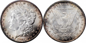 Morgan Silver Dollar

1889-S Redfield Morgan Silver Dollar. MS-63 (NGC).

Housed in a red Paramount International Coin Corp. Redfield Collection h...