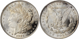 Morgan Silver Dollar

1921 Morgan Silver Dollar. MS-65 (PCGS).

PCGS# 7296. NGC ID: 256X.

Estimate: $200