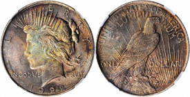 Peace Silver Dollar

1922-D Peace Silver Dollar. MS-64 (NGC).

PCGS# 7358. NGC ID: 257D.

Estimate: $100