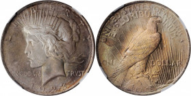 Peace Silver Dollar

1923 Peace Silver Dollar. MS-65+ (NGC).

PCGS# 7360. NGC ID: 257F.

Estimate: $120