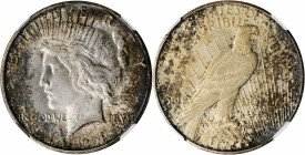 Peace Silver Dollar

1924-S Peace Silver Dollar. MS-60 (NGC).

PCGS# 7364. NGC ID: 257K.

Estimate: $200