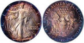 Silver Eagle

1987 Silver Eagle. MS-67 (PCGS).

PCGS# 9808. NGC ID: 26J6.

Estimate: $150
