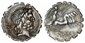 Denario. 83-82 a.C. ANTONIA. Q. Antonius Balbus. Anv.: S.C. Cabeza laureada de Júpiter a derecha, debajo del mentón Q. 3,89 grs. AR. Bonita pátina osc...