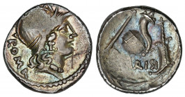 Denario. 46 a.C. CARISIA. T. Carisius. Anv.: Cabeza de Roma a derecha, detrás Roma. Rev.: T. CARISI. 3,98 grs. AR. Pátina irisada. (Rayas en anverso)....