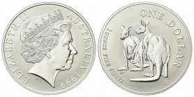 AUSTRALIA
Elisabetta II, dal 1952.
1 Dollaro 1999, Canguro.
Ag gr. 31,92
Dr. Testa coronata a d.
Rv. Canguri.
KM#398.
FDC
Celebrativa al rv. d...
