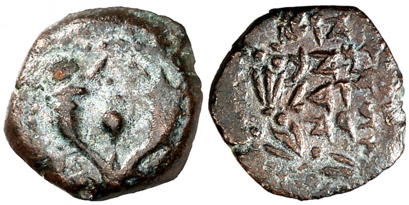 Judea. Alejandro Jannaeo (103-76 a.C.). Jerusalén. AE 14. (S. 6089 sim) (CNG. X,...