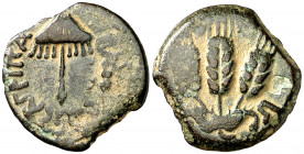 Judea. (42-43 d.C.). Herodes Agripa I (37-44 d.C.) AE 16. (S.GIC. 5567). 2,40 g. MBC.