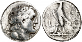 Egipto Ptolemaico. Ptolomeo III, Euergetes (246-221 a.C.). Tiro. Tetradracma. (S. 7809 var). 13,69 g. MBC-/BC.