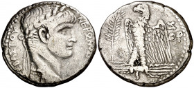 (60-61 d.C.). Nerón. Siria. Antioquía ad Orontem. Tetradracma. (S.GIC. 617 var) (RPC. I, 4181). 12,23 g. MBC-.