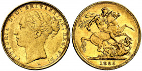 Australia. 1885. Victoria. M (Melbourne). 1 libra. (Fr. 16) (Kr. 7). AU. 7,99 g. MBC/MBC+.