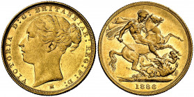 Australia. 1886. Victoria. M (Melbourne). 1 libra. (Fr. 16) (Kr. 7). AU. 7,97 g. MBC/MBC+.