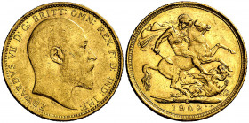 Australia. 1902. Eduardo VII. S (Sydney). 1 libra. (Fr. 32) (Kr. 15). Golpecitos. AU. 7,97 g. MBC/MBC+.