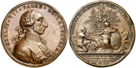 1776. Carlos III. Creación del Montepío de Cosecheros del Obispado de Málaga. (V. 48) (V.Q. 4124 var. metal) (Ruiz Trapero 93). Grabador: Gil. Golpes....