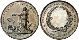 1873. Madrid. Exposición Internacional. Premio al mérito. Bronce. 58,41 g. Ø48 mm. EBC.