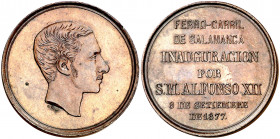 1877. Alfonso XII. Inauguración del Ferrocarril de Salamanca. (V. 470) (Ruiz Trapero 821). Grabador: G. S. (Gregorio Sellán). Escasa. Bronce. 17,69 g....