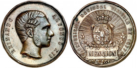 1877. Alfonso XII. Exposición Nacional vinícola. (V. 848) (Ruiz Trapero 819). Grabador: Cortés. En cartela MENCION. Golpecitos. Bronce. 36,27 g. Ø40 m...