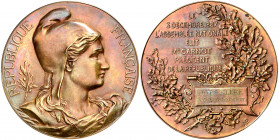 Francia. 1887. Asamblea Nacional. Grabador: Max Bourgeois. En estuche. Bronce. 188,61 g. Ø72 mm. S/C.