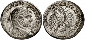 s/d. Caracalla. Siria. Emesa. Tetradracma. (S.GIC. 2652 var) (BMC. XX, pág. 291, nº 8 var). 11,02 g. MBC+.