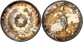 Paraguay. 1889. 1 peso. (Kr. 5). Leves rayitas. Rara. AG. 24,99 g. (EBC).