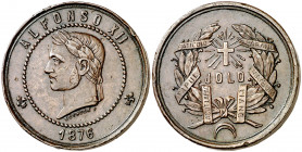 1876. Alfonso XII. Campaña de Joló. Medalla de distinción. (V. 846) (Ruiz Trapero 805) (Pérez-Guerra 756). Grabador: Estruch. Golpecitos. Bronce. 19,7...