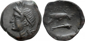 SKYTHIA. Olbia. Ae (Circa 380-360 BC)