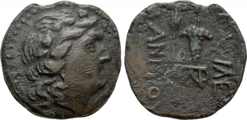 KINGS OF SKYTHIA. Kanites (Circa 160-100 BC). Ae. 

Obv: Head of Dionysos righ...