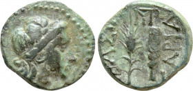 KINGS OF SKYTHIA. Sariakes (Circa 180-168/7 BC). Ae
