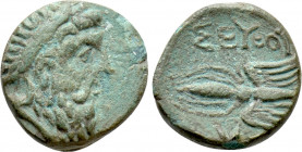 KINGS OF THRACE (Odrysian). Seuthes III (Circa 330/25-295 BC). Ae. Seuthopolis