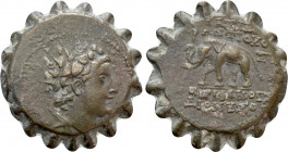 SELEUKID KINGDOM. Antiochos VI Dionysos (144-142 BC). Serrate Ae. Antioch on the Orontes