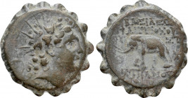 SELEUKID KINGDOM. Antiochos VI Dionysos (144-142 BC). Serrate Ae. Antioch on the Orontes