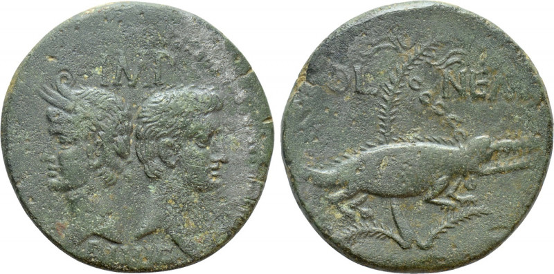 GAUL. Nemausus. Augustus, with Agrippa (27 BC-AD 14). Ae. 

Obv: IMP DIVI F. ...