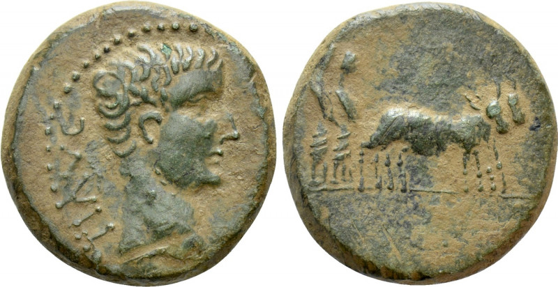 MACEDON. Uncertain. Tiberius (14-37). Ae. Possibly Philippi. 

Obv: TI AVG. 
...