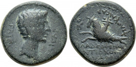 LYDIA. Philadelphia (as Neocaesarea). Caligula (37-41). Ae. Antiochos Apollodotou, philokaisar