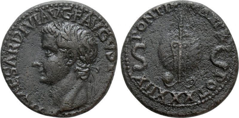 TIBERIUS (14-37). As. Rome. 

Obv: TI CAESAR DIVI AVG F AVGVST IMP VIII. 
Lau...