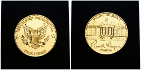 USA
 Bronzemedaille vergoldet / Bronze medal gilded 1985 50.6 mm. Verdienstmedaille / Medal of Merit. Mit beschriftetem Originaletui / with lettered ...