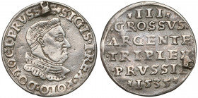 Zygmunt I Stary, Trojak Toruń 1535 - rzadki R4