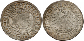 Zygmunt I Stary, Grosz Toruń 1531 - PRVS / PRVS - duża głowa