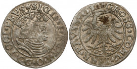 Zygmunt I Stary, Grosz Toruń 1531 - PRVS / PRVSS