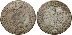 Zygmunt I Stary, Grosz Toruń 1531 - PRVS / PRVSS