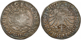 Zygmunt I Stary, Grosz Toruń 1533 - PRVSSIE