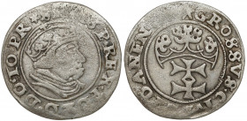 Zygmunt I Stary, Grosz Gdańsk 1540 - P(RIM) zamiast I - b.rzadki Krup.-