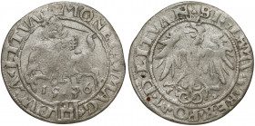 Zygmunt I Stary, Grosz Wilno 1536 - litera F - luty R2