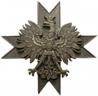 Odznaka 1 Pułk Ułanów Krechowieckich - wersja żołnierska