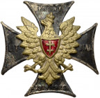 Odznaka, Front Litewsko-Białoruski 1919-1920 - duże braki w emalii