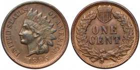 USA, 1 cent 1895 - Indian Head